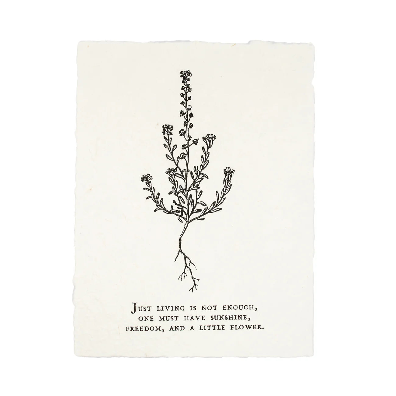 Handmade Paper Print - "Just living is not enough, one must have sunshine, freedom, and a little flower."