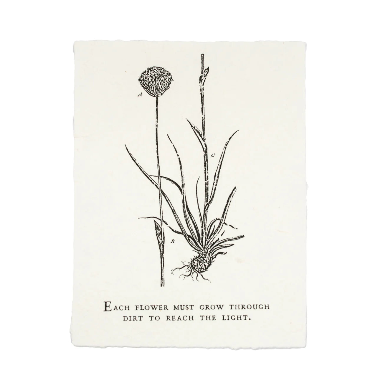 Handmade Paper Print - "Each flower must grow through dirt to reach the light"