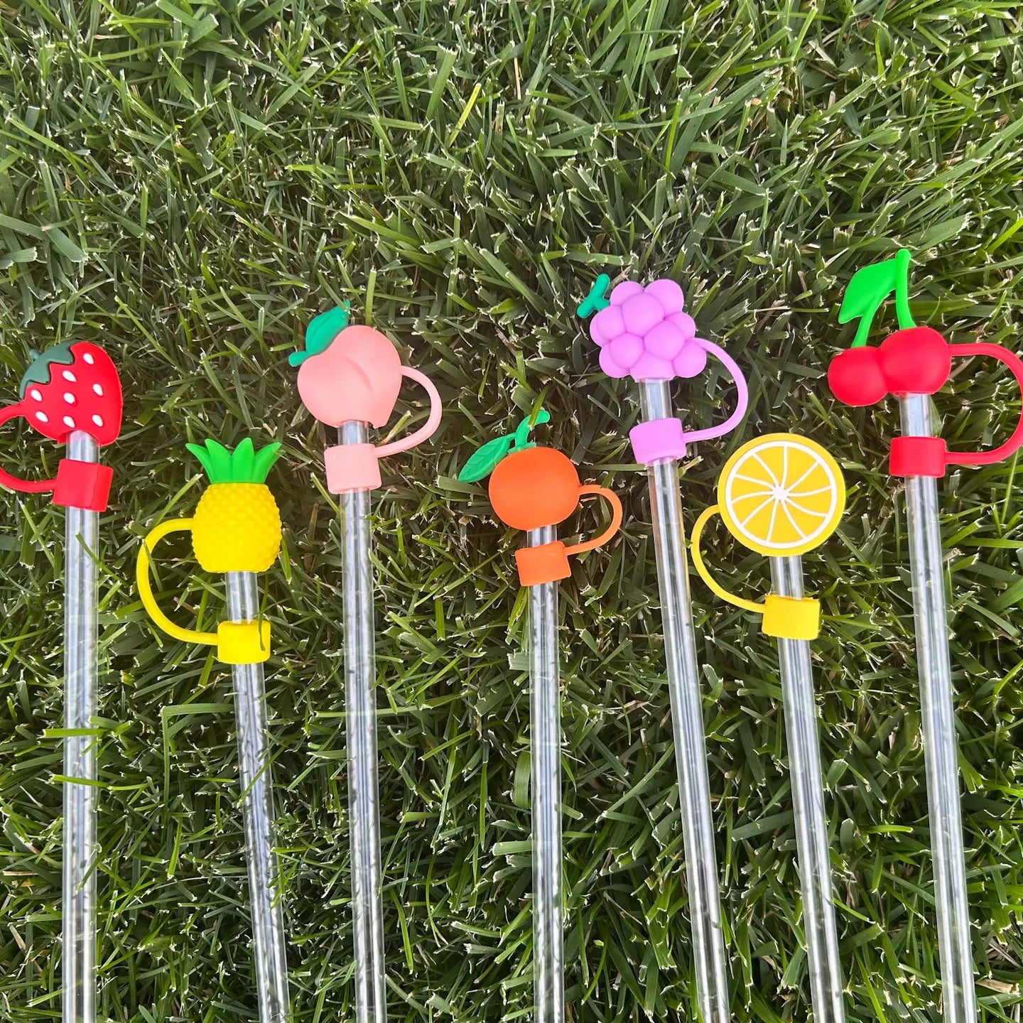 Fruit Straw Toppers