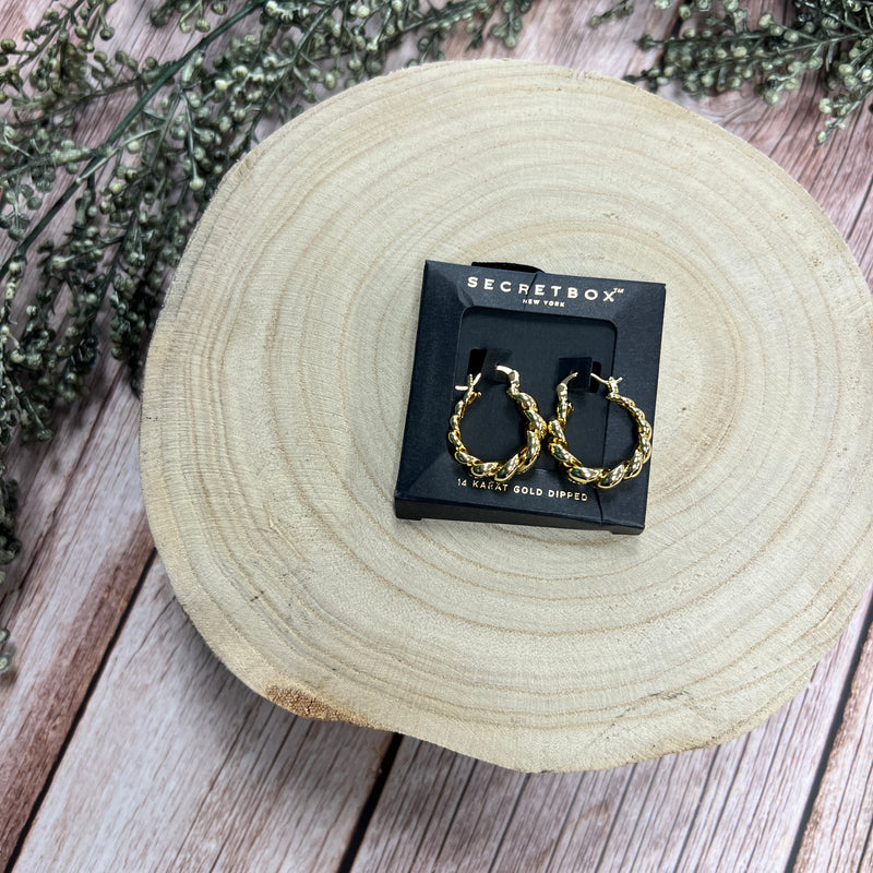 Secret Box Metallic Braided Hoop Earrings