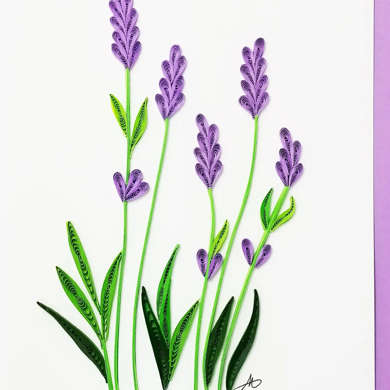 Lavender