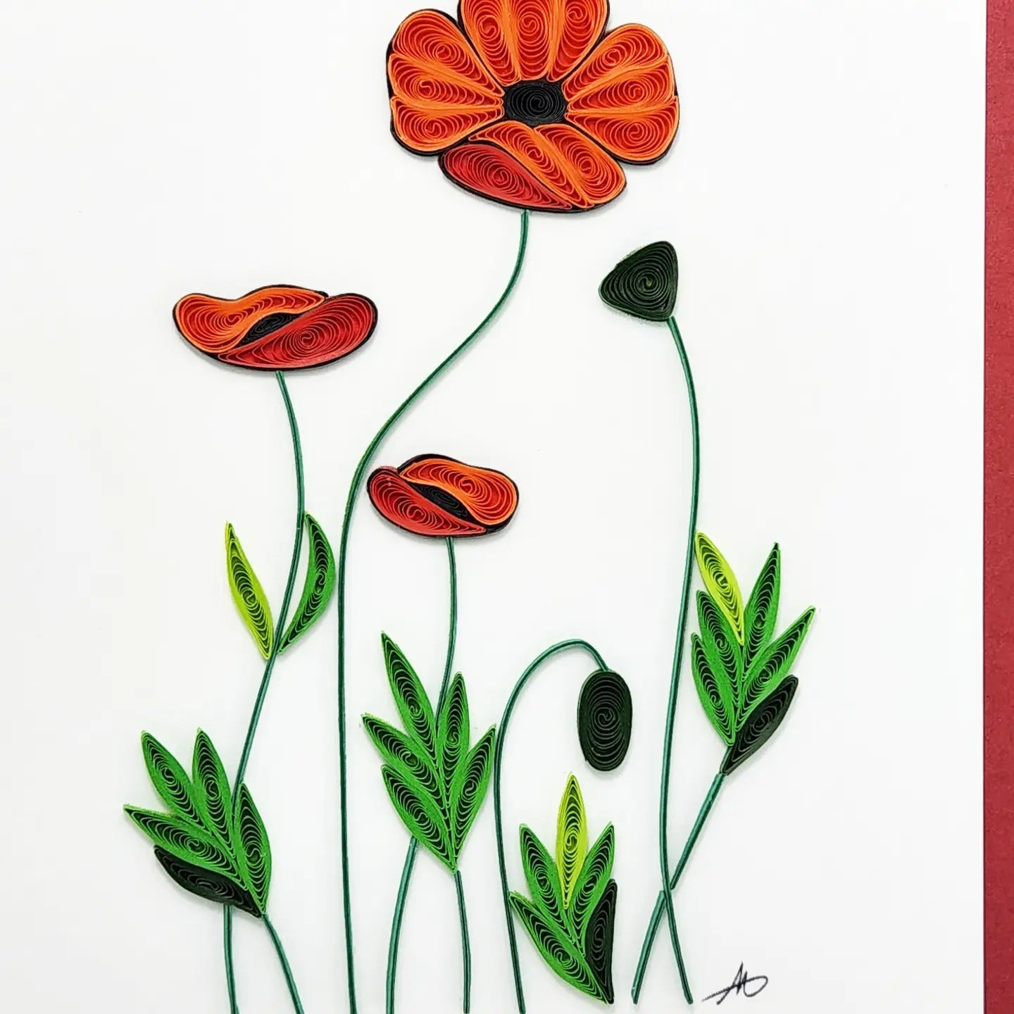 Poppy