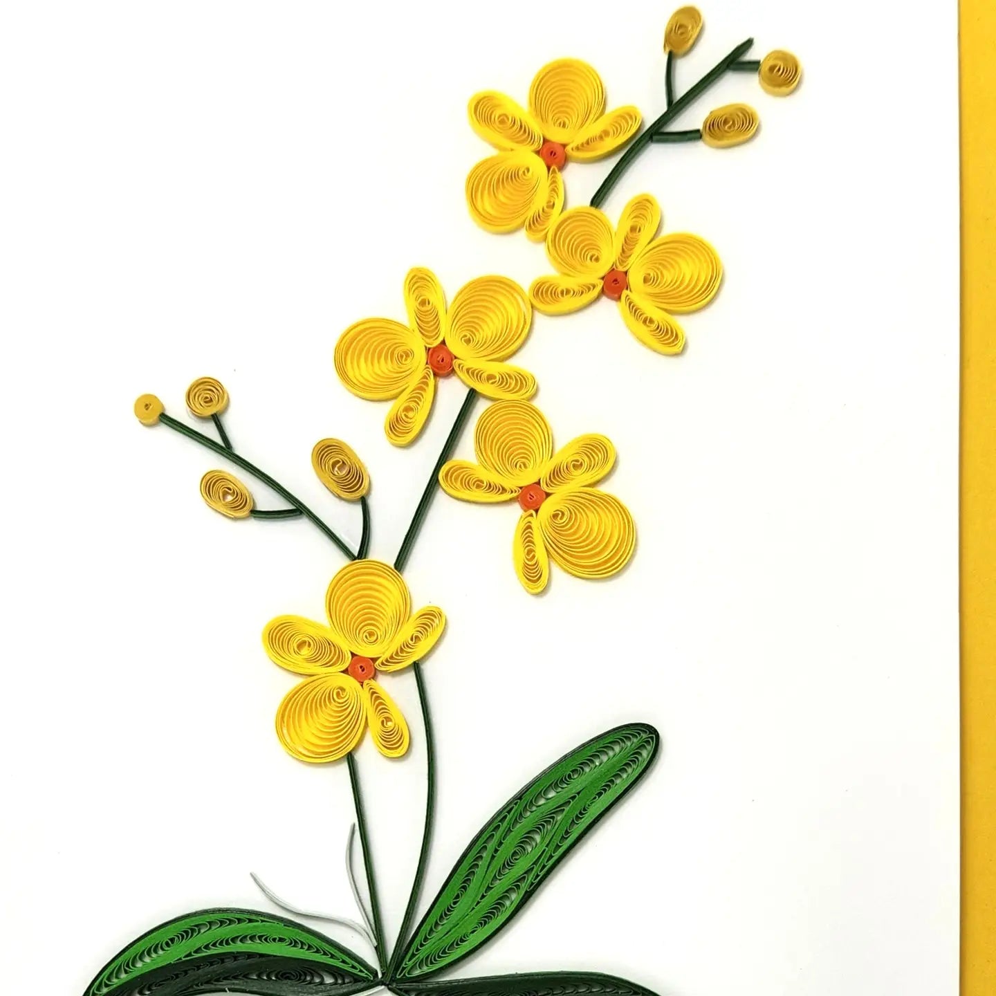Yellow Orchid