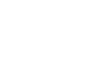 Ollie Birch Boutique + Lounge